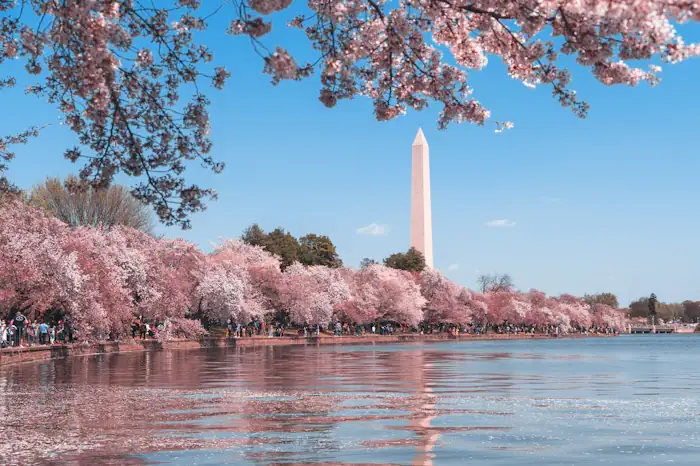 YelloPost serving Washington D.C. businesses